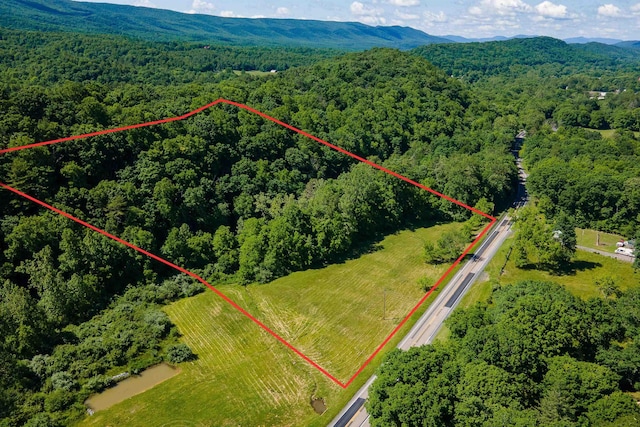 Listing photo 3 for TBD Little Calf Pasture Hwy, Swoope VA 24479