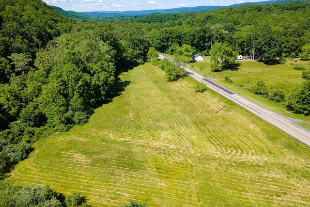 Listing photo 2 for TBD Little Calf Pasture Hwy, Swoope VA 24479