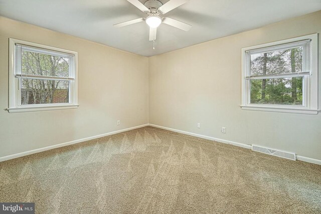 empty room featuring plenty of natural light, ceiling fan, and carpet