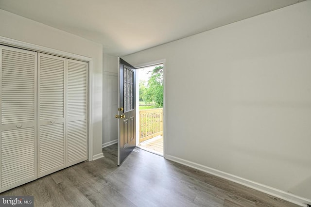 foyer entrance featuring wood-type flooring