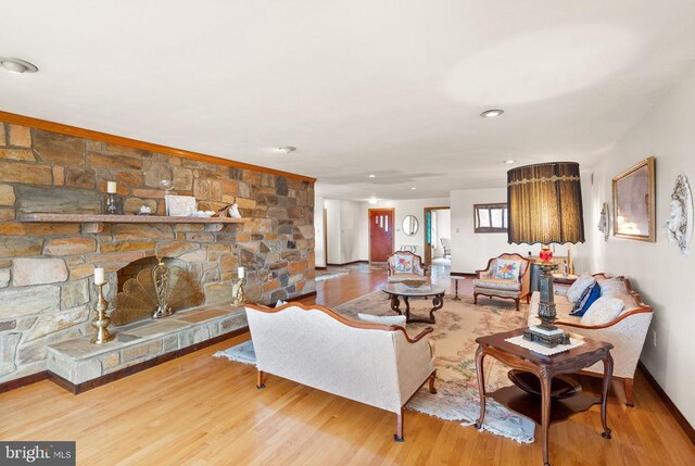 living room featuring a fireplace and wood finished floors