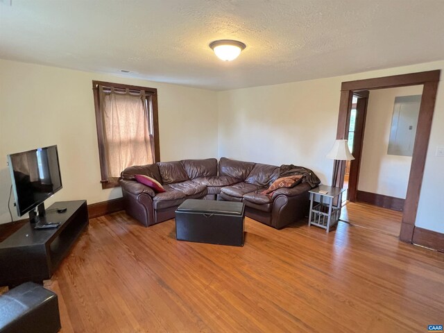 living room featuring wood-type flooring and a textured ceiling