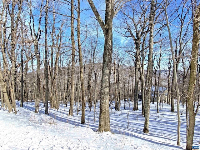 671 Shamokin Springs Trl, Wintergreen Resort VA, 22967 land for sale