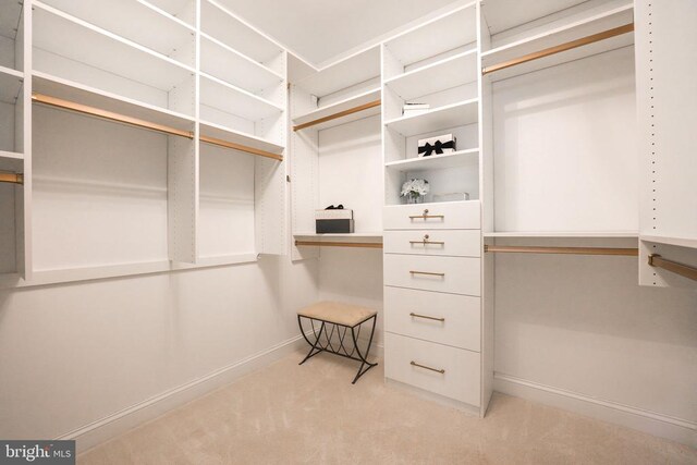 spacious closet with light colored carpet