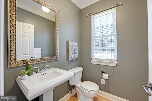 bathroom featuring sink, crown molding, hardwood / wood-style floors, and toilet