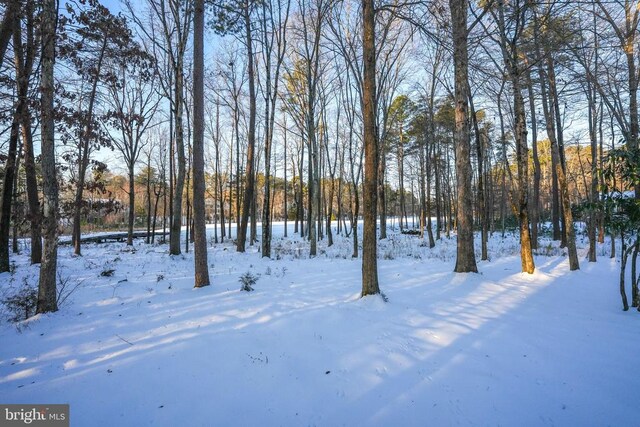 view of yard layered in snow