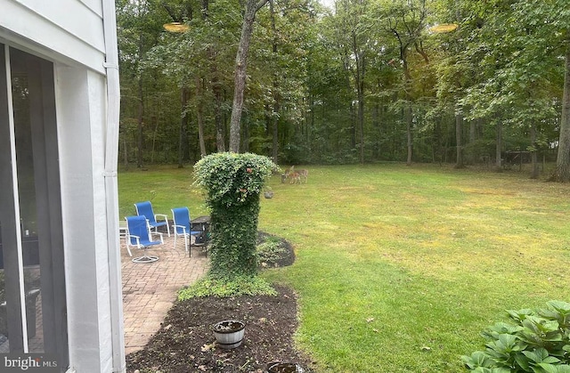 view of yard with a patio area