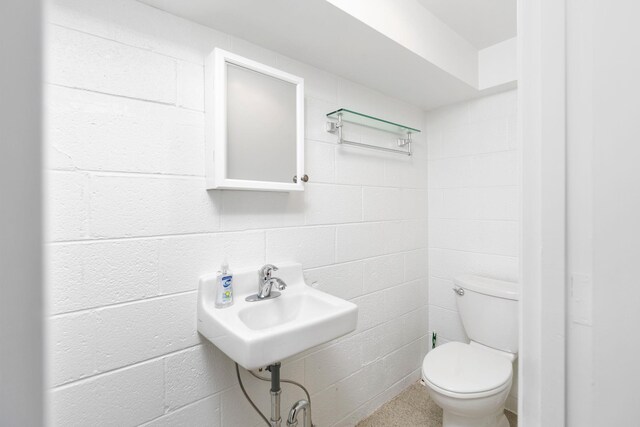 bathroom with sink and toilet