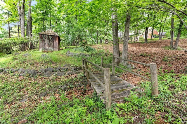 view of yard featuring a shed