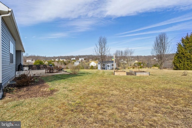 view of yard with a storage shed and a patio