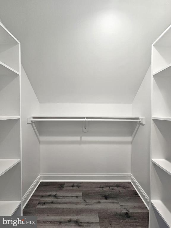 walk in closet featuring lofted ceiling and dark wood-style flooring