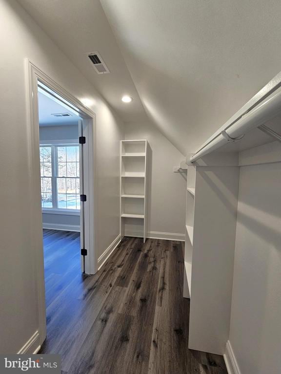 walk in closet featuring lofted ceiling, visible vents, and dark wood finished floors