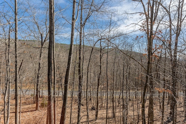 mountain view featuring a forest view