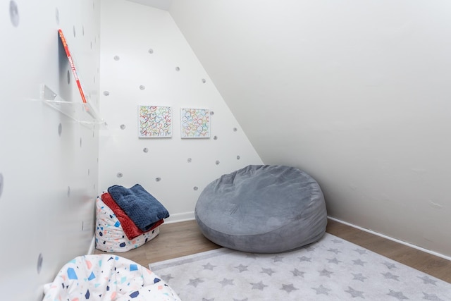 interior space featuring lofted ceiling and wood finished floors