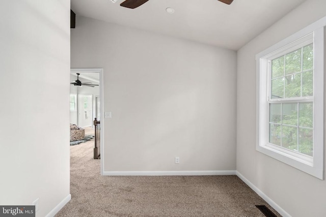 spare room featuring carpet flooring, ceiling fan, and a wealth of natural light