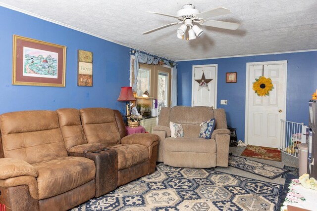 living room featuring ornamental molding, ceiling fan, and a textured ceiling