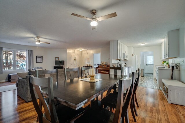 dining room with ceiling fan, light hardwood / wood-style floors, and a textured ceiling