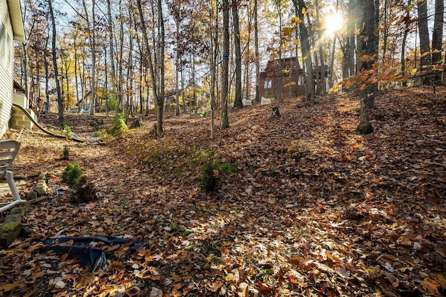 view of local wilderness