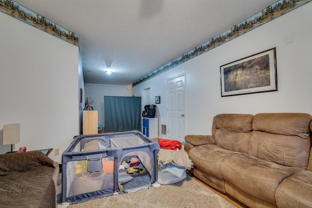 living room with carpet floors and a textured ceiling