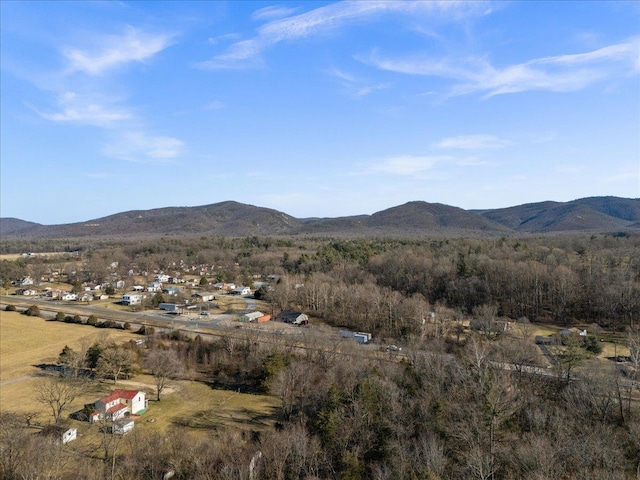 view of mountain feature