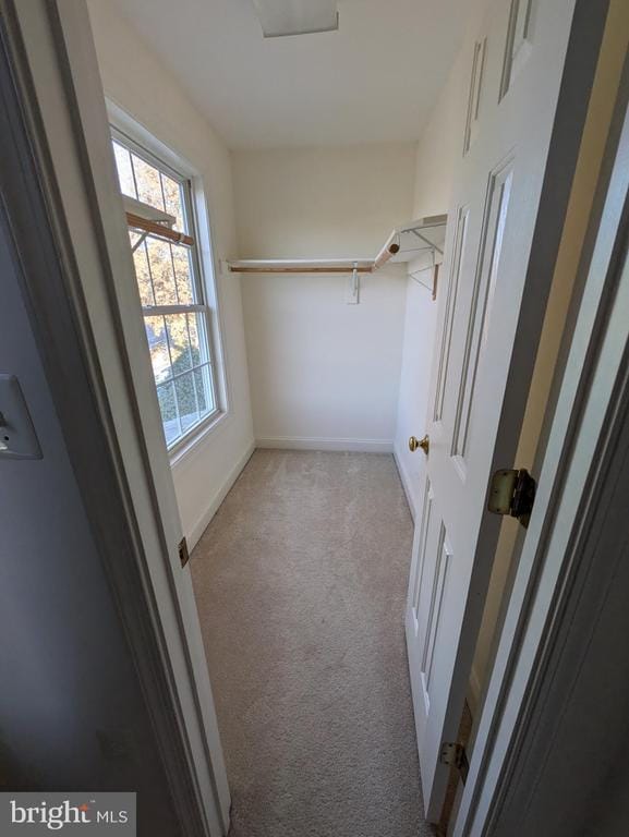 walk in closet featuring light colored carpet