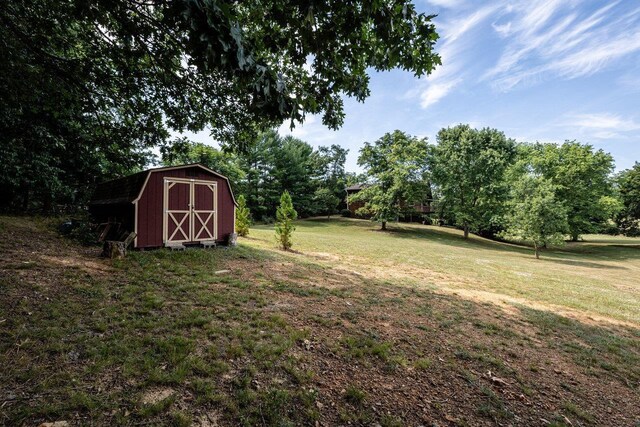 view of yard with a shed