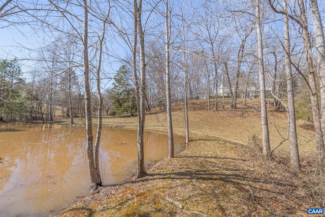 view of yard with a water view