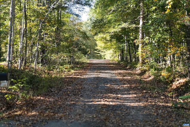 view of street featuring a wooded view