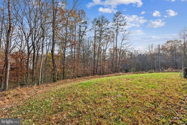 view of yard with a forest view