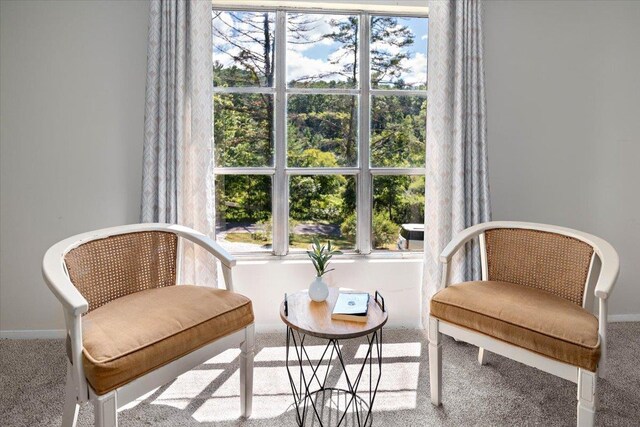 sitting room featuring carpet