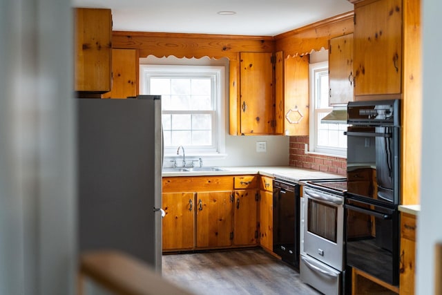 kitchen featuring light countertops, a healthy amount of sunlight, a sink, and black appliances