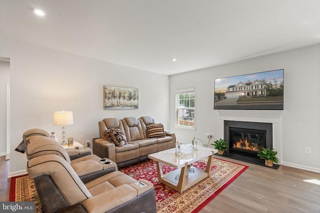 living room featuring hardwood / wood-style floors