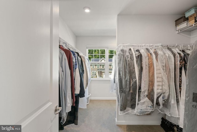 spacious closet featuring light colored carpet