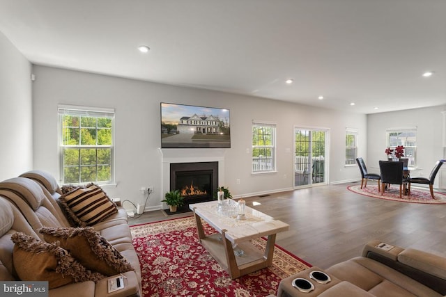 living room with wood-type flooring