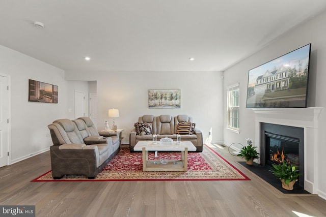 living room featuring hardwood / wood-style floors