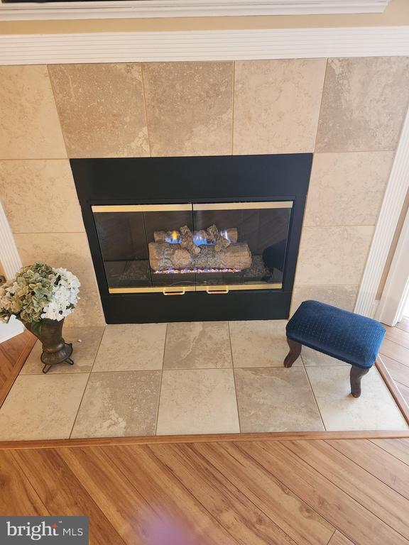 details featuring a fireplace and wood finished floors