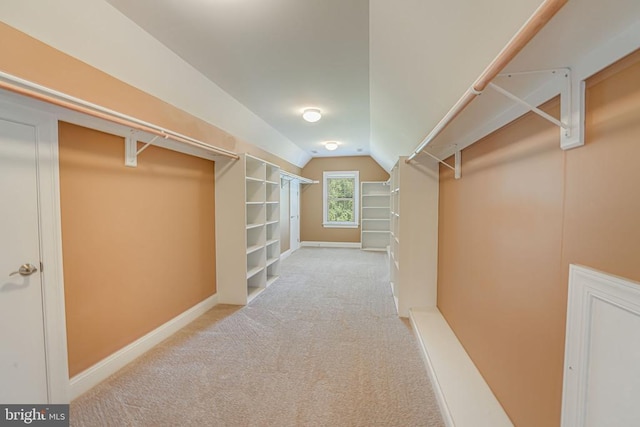 walk in closet featuring lofted ceiling and carpet flooring