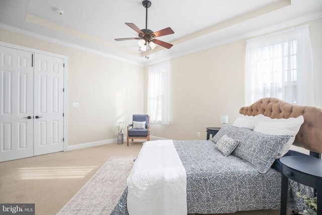 carpeted bedroom with crown molding, ceiling fan, a raised ceiling, and a closet