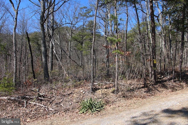 Listing photo 2 for Shipwreck Rd, Shenandoah VA 22849