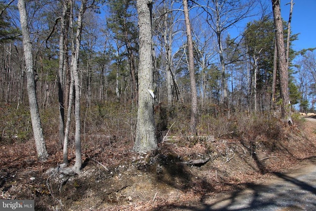 Listing photo 3 for Shipwreck Rd, Shenandoah VA 22849