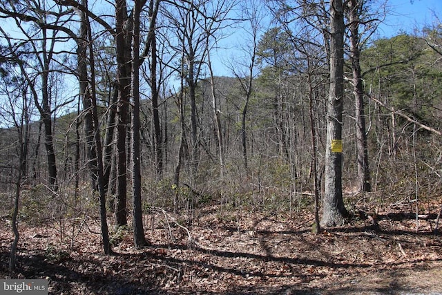 Shipwreck Rd, Shenandoah VA, 22849 land for sale