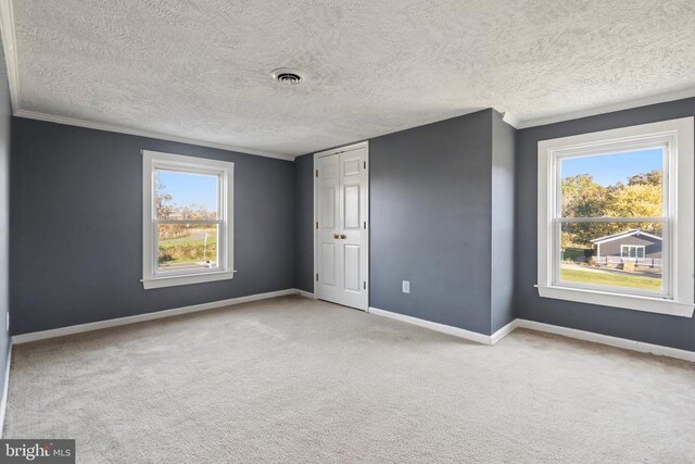 spare room featuring plenty of natural light, light colored carpet, and a textured ceiling