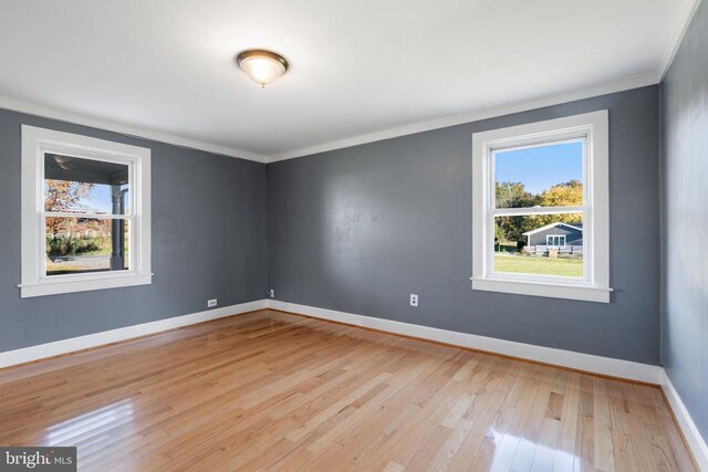 empty room featuring ornamental molding, plenty of natural light, and light wood-type flooring