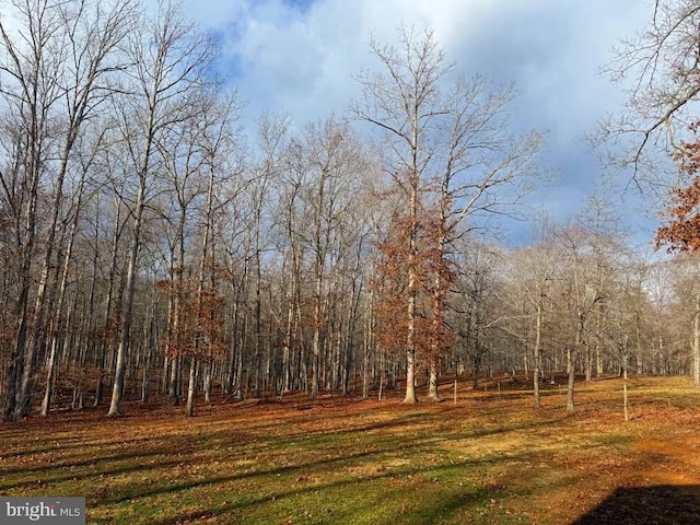 view of yard with a view of trees