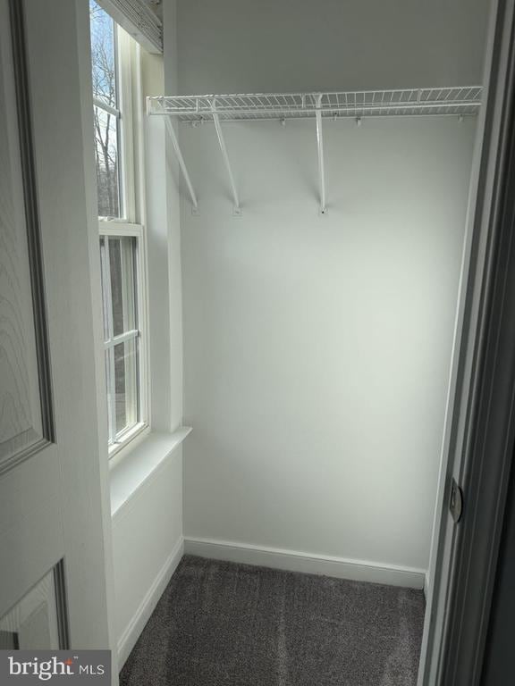 walk in closet with carpet