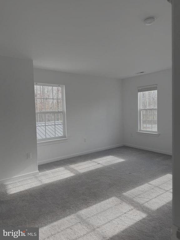 carpeted spare room featuring a wealth of natural light