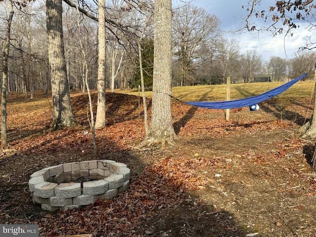 view of yard with an outdoor fire pit