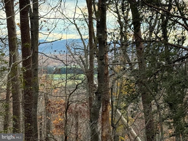 0 Mountain Run Rd, Luray VA, 22835 land for sale