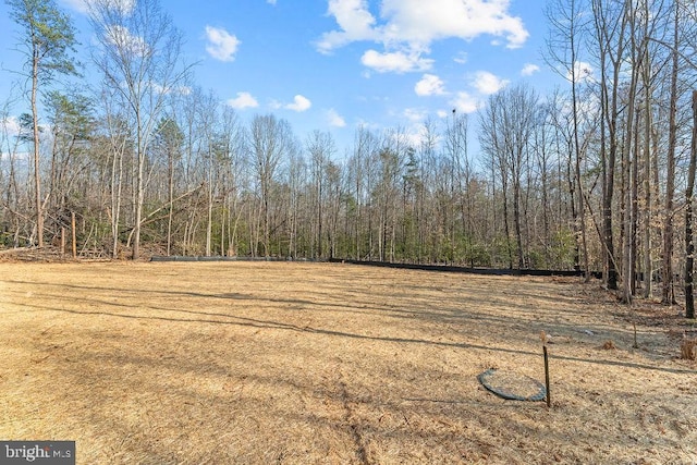 view of yard with a wooded view