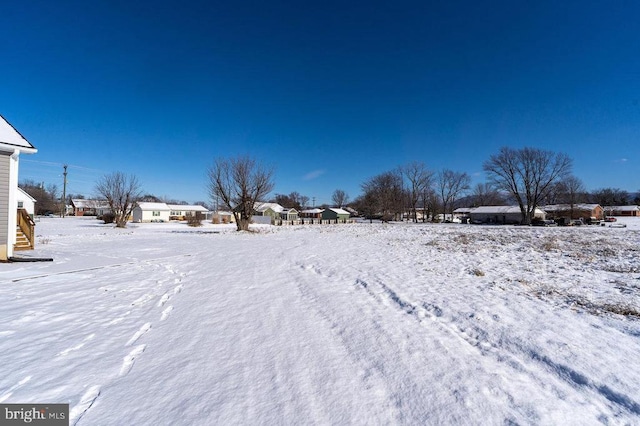 view of yard covered in snow